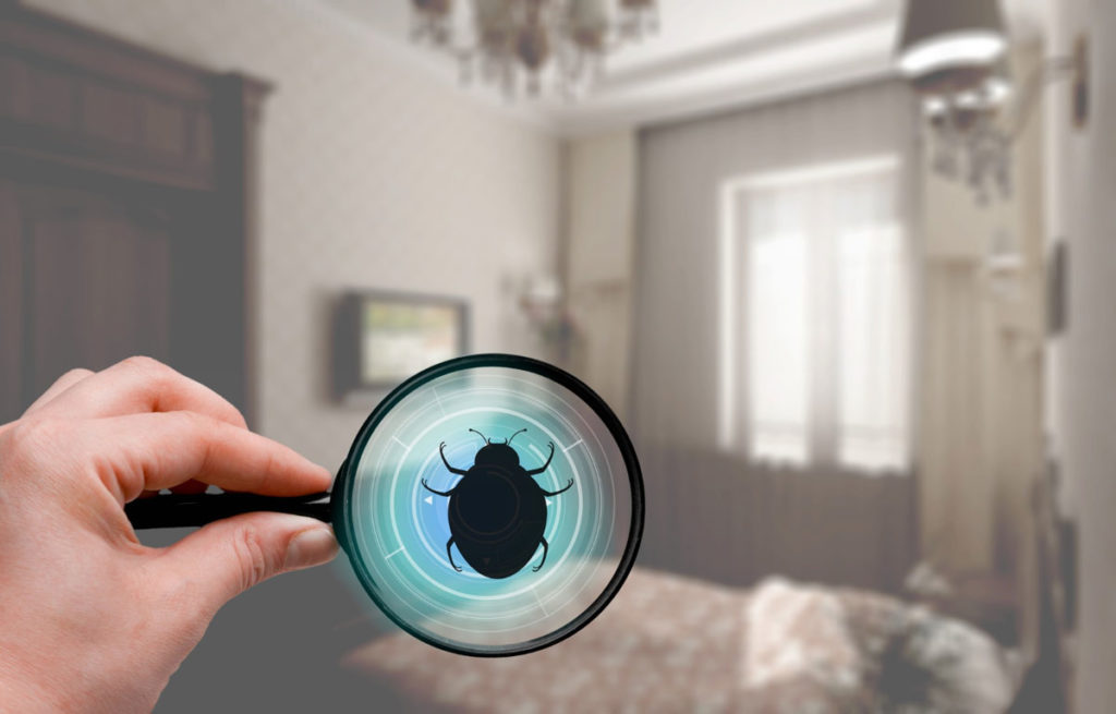 What Does Renter’s Insurance Not Cover Bedbug, flea, or rodent infestations.